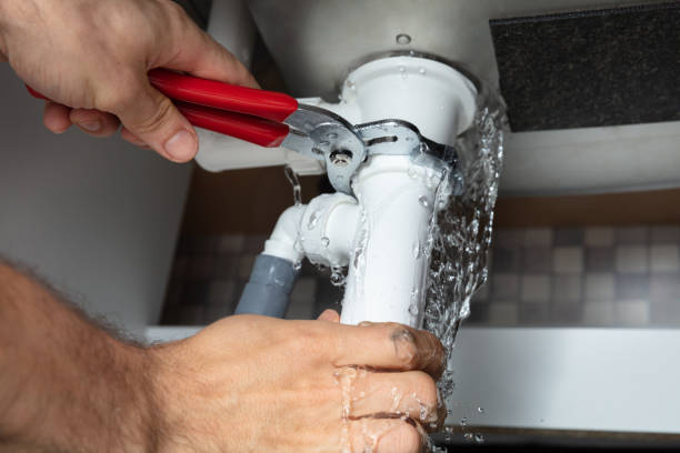 Best Ceiling water damage repair  in Bardmoor, FL
