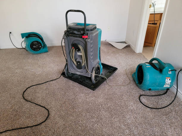  Bardmoor, FL Water damage restoration Pros