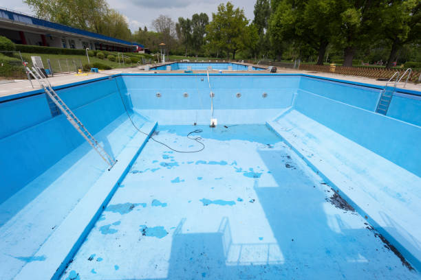 Best Flood damage cleanup  in Bardmoor, FL