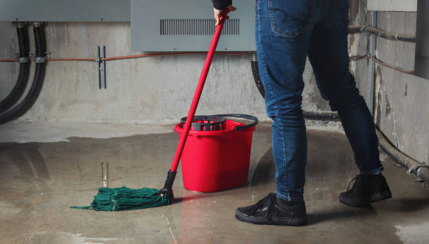Best Commercial water damage restoration  in Bardmoor, FL