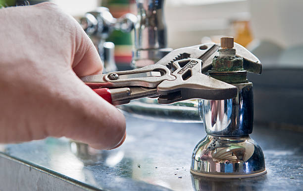 Best Local water damage restoration  in Bardmoor, FL