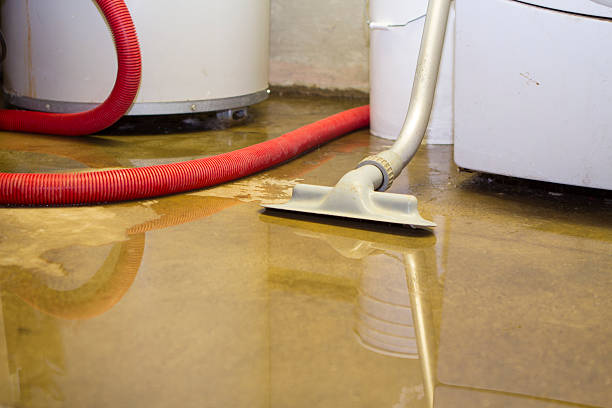 Best Flooded house restoration  in Bardmoor, FL