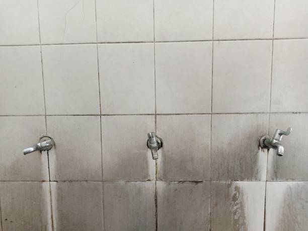 Best Professional water damage repair  in Bardmoor, FL