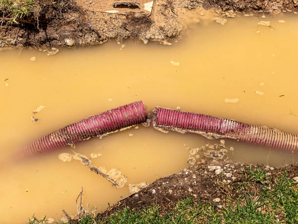 Best Commercial water damage restoration  in Bardmoor, FL