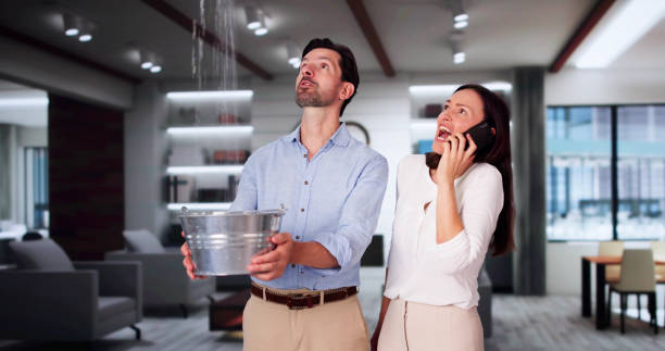Best Water damage restoration near me  in Bardmoor, FL