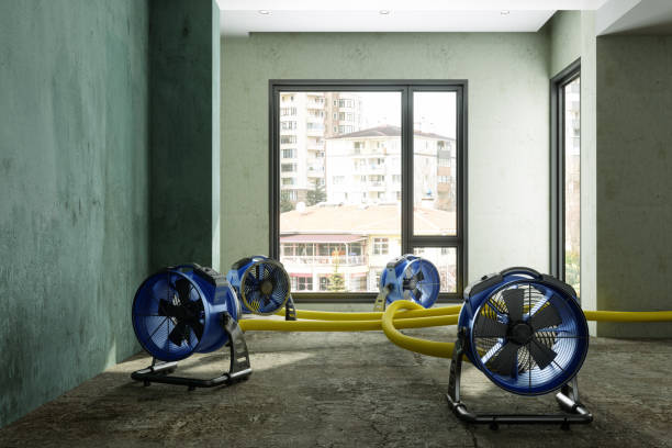 Best Basement water damage restoration  in Bardmoor, FL