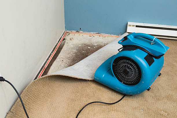 Best 24/7 water damage repair  in Bardmoor, FL