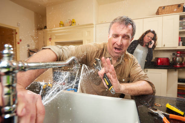 Best Water damage cleanup near me  in Bardmoor, FL